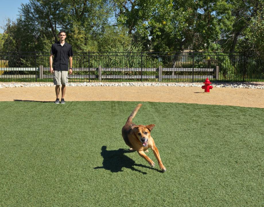Dog Park Near Mw Dog Park Near Mw