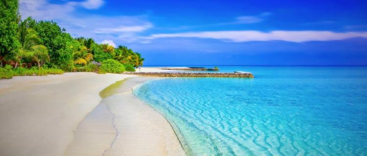 Top Reasons Why it's Important to Take a Vacation Top Reasons Why it's Important to Take a Vacation
